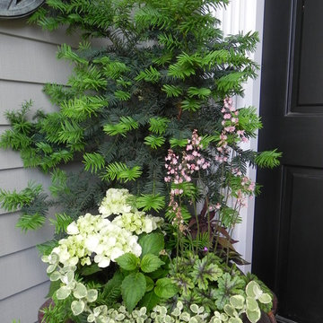 Container Gardens