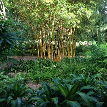 Florida Eclectic Hurricane Impact & Sustainable Paradise