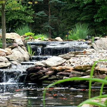 Multi Level Koi Pond