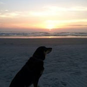 Sandy Worgan's photo