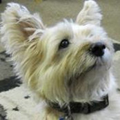 Jill Naumann's photo