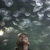 Anna Ducos-Mendenhall's photo