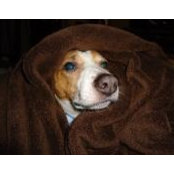 Jennifer Miller's photo