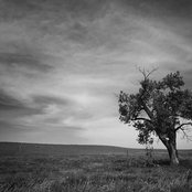 Heather Nordeen's photo