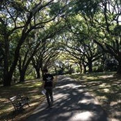 Michael Moore's photo