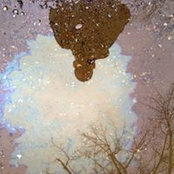Sean Dailey's photo