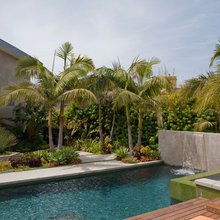 Backyard Tropical