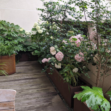 Terrasse Gambetta