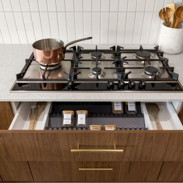 Plympton Park Contemporary Kitchen Renovation