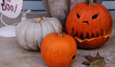 Come Scegliere, Intagliare e Decorare una Zucca di Halloween