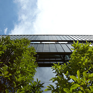 Bucktown Residence
