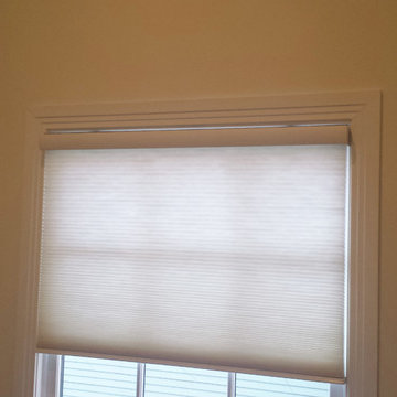 Q-Motion Window Shades