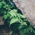 Tannenbaum Design Group's profile photo