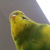 Edith Lowe's photo