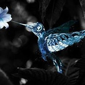 Ana Botica's photo