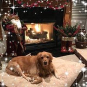 Amy Bartholomew Berry's photo