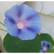 Debi Scott's photo