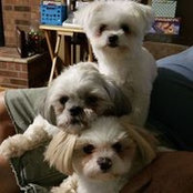 Kim George's photo