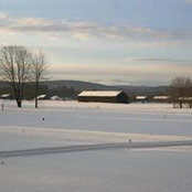 Foto von Margaret Schnall