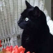 Maria Euele Hayden's photo
