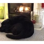 Nancy Supple Saving's photo
