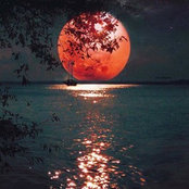 Tam's photo
