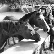 Abi Haddad's photo