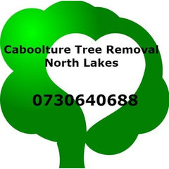 Caboolture Tree Removal North Lakes