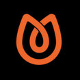Tulipalo Exceptional Fires's profile photo