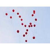 Michelle Mix's photo