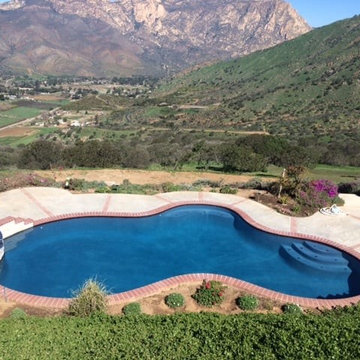 Paradise Custom Pools