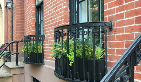 Вопрос: Как разбить сад за окном в цветочнице