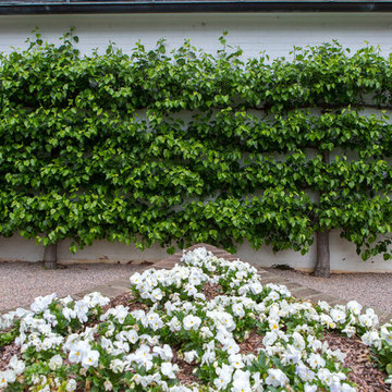The Morgan Landscape Group