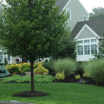Plantings