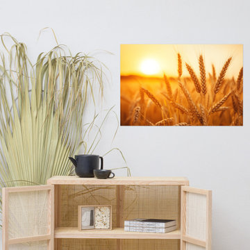 Golden Hour Harvest Minimal Botanical Rustic Subdued Wheat Crops Photorealism Di