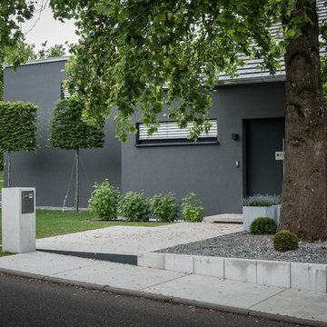 Vorgarten mit Tulpenbaum