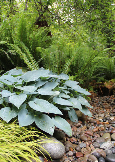 Wie lässt sich ein Schattengarten schön gestalten?
