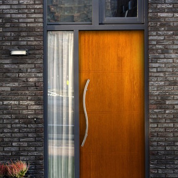 Modern Doors