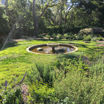 Montecito Meadow