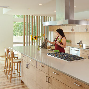 2012 AIA Austin Home Tour