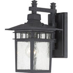 Nuvo Lighting - Nuvo Lighting 60/3493 Cove Neck - 1 Light Outdoor Wall Lantern - Cove Neck; 1 Light; 12 in.; Outdoor Lantern with CCove Neck 1 Light Ou Textured Black Clear *UL: Suitable for wet locations Energy Star Qualified: n/a ADA Certified: n/a  *Number of Lights: Lamp: 1-*Wattage:100w A19 Medium Base bulb(s) *Bulb Included:No *Bulb Type:A19 Medium Base *Finish Type:Textured Black