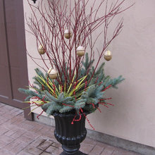 Christmas Decor