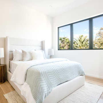 Appleton Project- Venice Beach