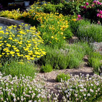 Beautiful Gardens on Oxford Road