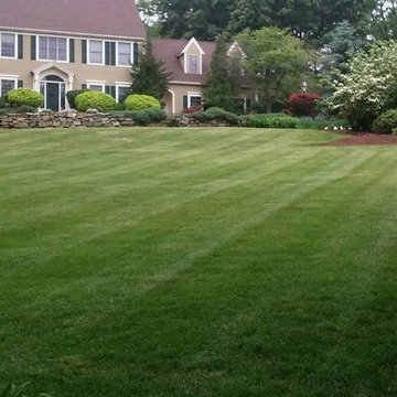 Landscaping Maintenance