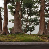 Heather Schwall's photo