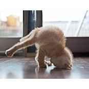 Элина Винарчук's photo