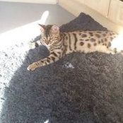 Anke Engelbrecht's photo