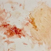 Kate Singleton's photo