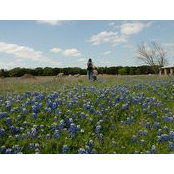 Diana Ziegler's photo